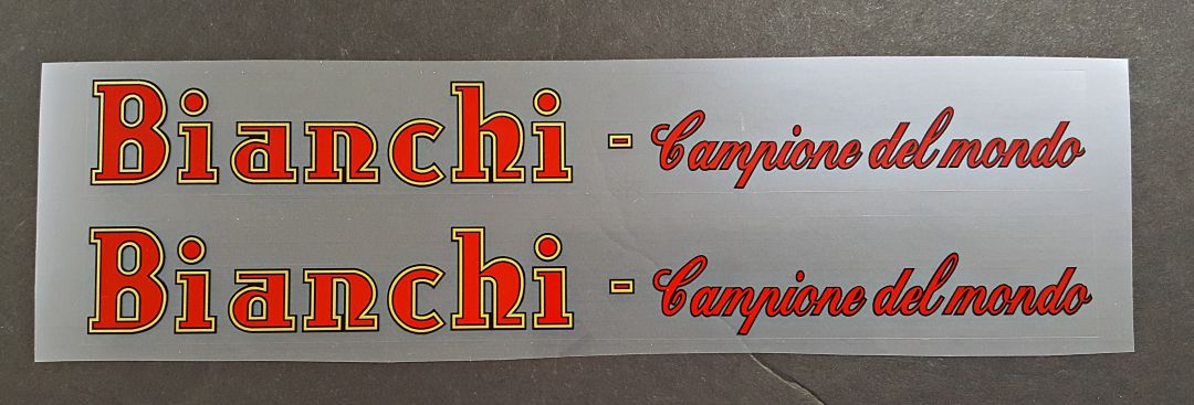 Bianch Campione downtube decals - H Lloyd Cycles