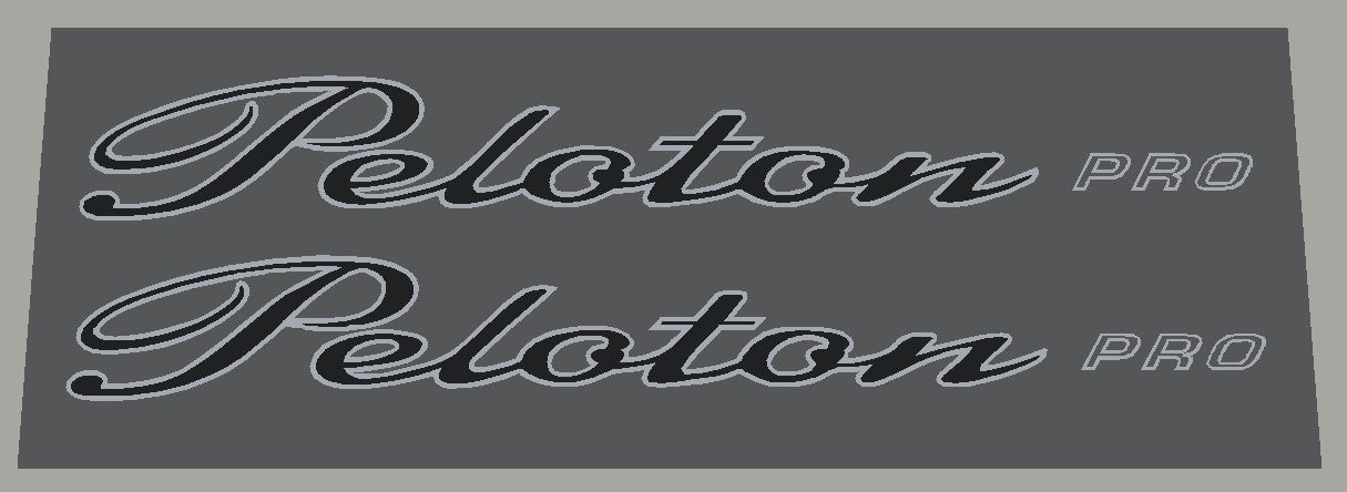 Schwinn Peloton Pro Down Tube Decals - H Lloyd Cycles
