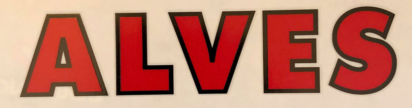 Alves Downtube - H Lloyd Cycles