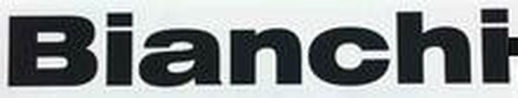 BIANCHI downtube. - H Lloyd Cycles