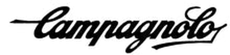 CAMPAGNOLO. Standard Campag script. - H Lloyd Cycles