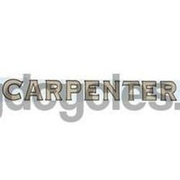 CARPENTER block downtube - H Lloyd Cycles
