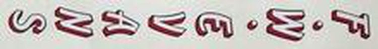 EVANS seat tube decal. - H Lloyd Cycles