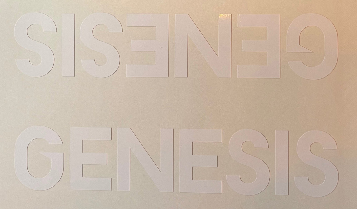 Genesis double downtube decal - H Lloyd Cycles