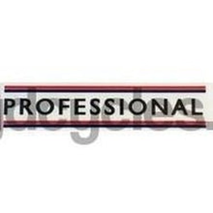 HOLDSWORTH "PROFESSIONAL" top tube decal. - H Lloyd Cycles