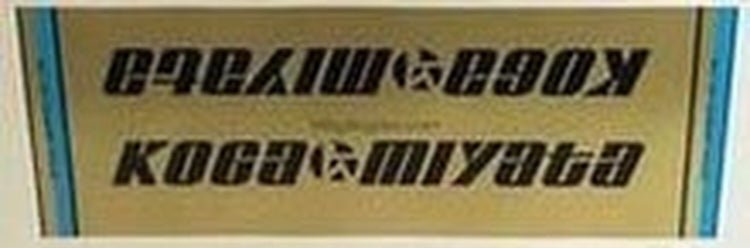 Koga Miyata Seat Tube Decals - H Lloyd Cycles