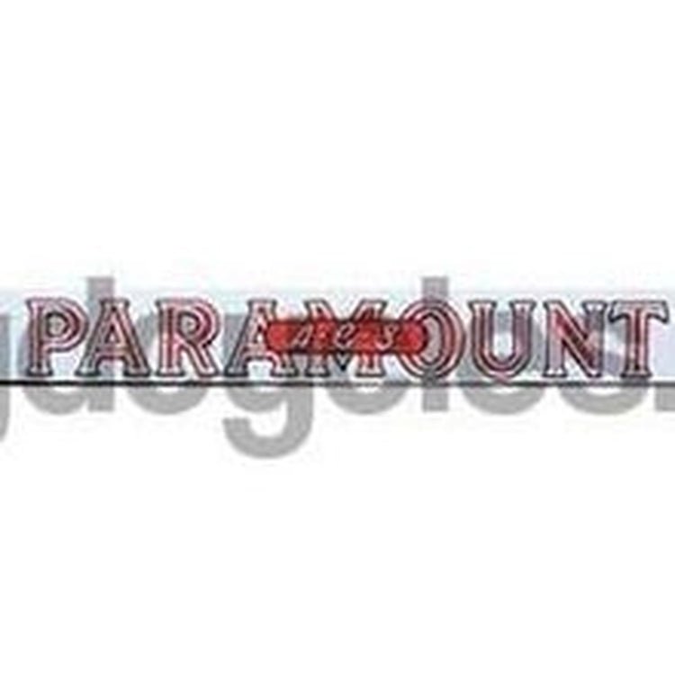 Paramount ACS Downtube decals - H Lloyd Cycles