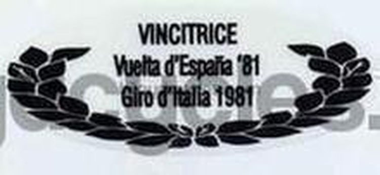 PINARELLO detail. - H Lloyd Cycles