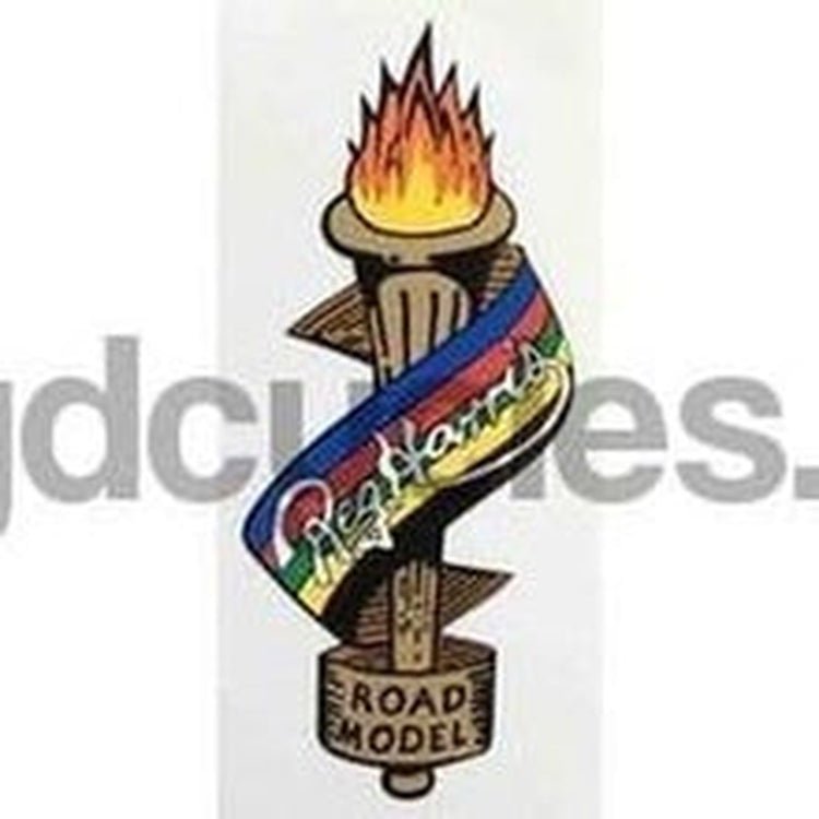 RALEIGH "Reg Harris flaming torch" seat tube transfer. - H Lloyd Cycles