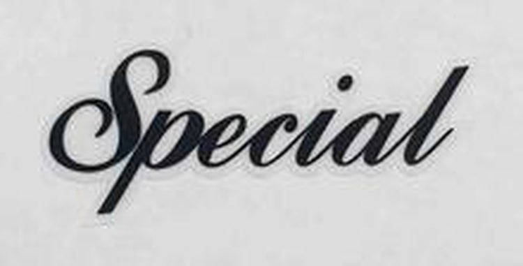 RALEIGH top tube decal for "Special" model. - H Lloyd Cycles