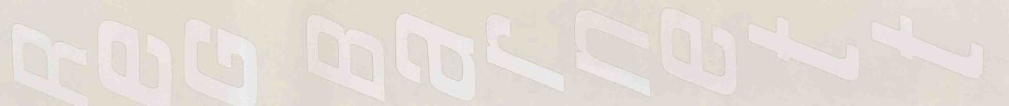 Reg Barnett seat tube decal - H Lloyd Cycles