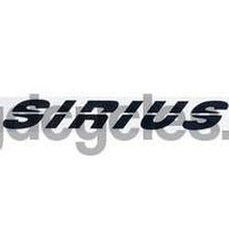SIRIUS downtube decals. - H Lloyd Cycles