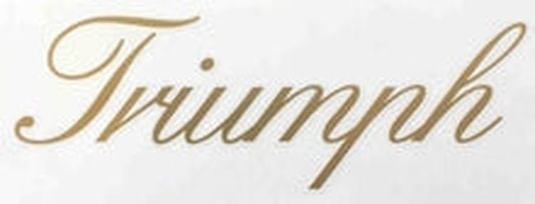 TRIUMPH down tube in gold script - H Lloyd Cycles
