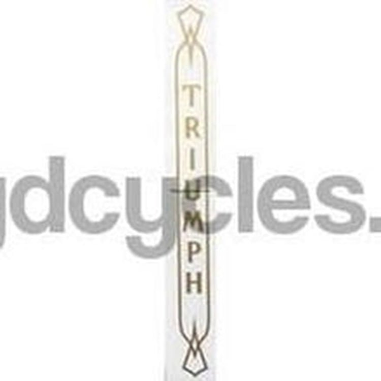 TRIUMPH seat tube. - H Lloyd Cycles