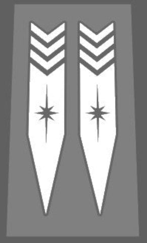 Schwinn Forks Arrows with Stars