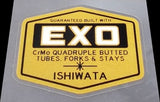 Ishiwata EX Frame Decals