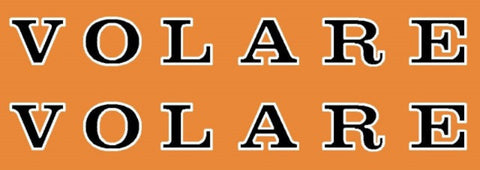 Schwinn Volare Top Tube Decals