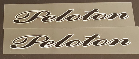 Schwinn Peloton Top Tube Decals