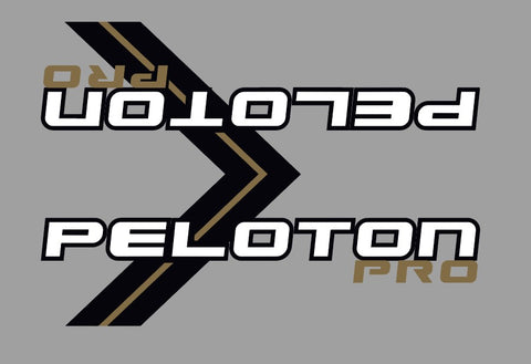 Schwinn Peloton Pro Double Top Tube with Chevron Decal