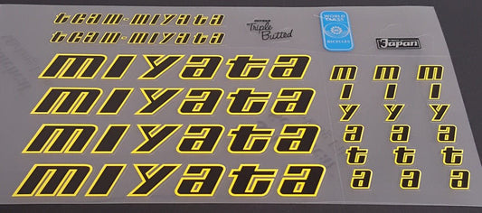 Miyata Team Miyata Decal set - H Lloyd Cycles
