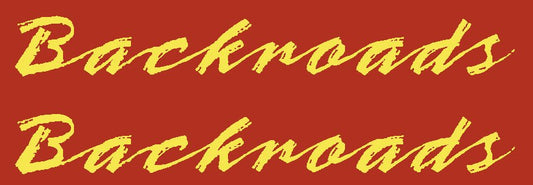 Nishiki Backroads decal - H Lloyd Cycles