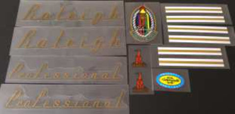 Raleigh Professional Decal set