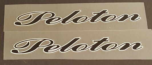 Schwinn Peloton Top Tube Decals - H Lloyd Cycles