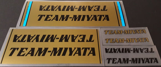Team Miyata Decal set - H Lloyd Cycles