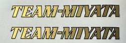 Team Miyata Top tube decals - H Lloyd Cycles