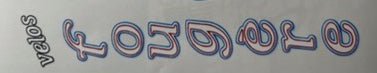 Velos Fougere Seat Tube decal - H Lloyd Cycles