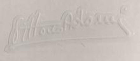 Adorni Signature - H Lloyd Cycles