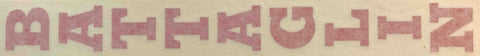 BATTAGLIN seat tube decal