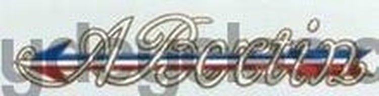 Bertin Down tube decal - H Lloyd Cycles
