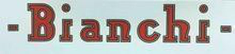 BIANCHI downtube decal