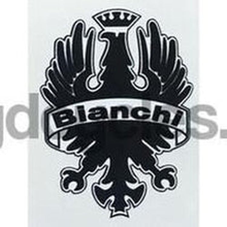 BIANCHI head/seat - H Lloyd Cycles
