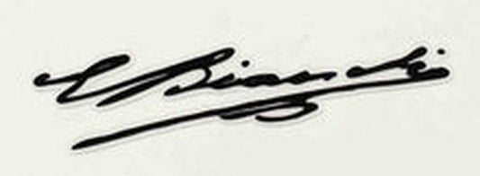 BIANCHI signature for top tube. - H Lloyd Cycles