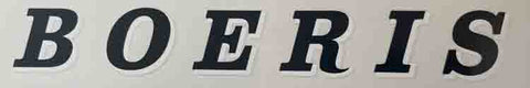 Boeris Downtube decal
