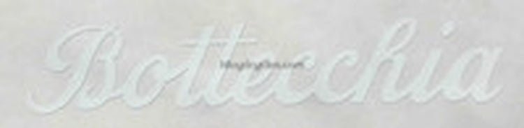 Bottecchia Downtube decals - H Lloyd Cycles