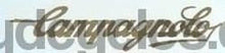 CAMPAGNOLO. Standard Campag script. - H Lloyd Cycles