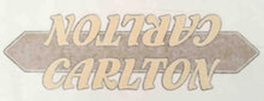 Carlton Corsair Down tube decal - H Lloyd Cycles