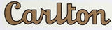 CARLTON downtube script.