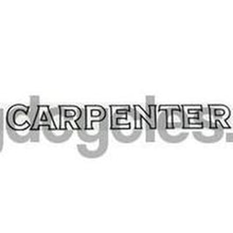CARPENTER block downtube - H Lloyd Cycles