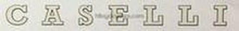 Caselli Downtube decal