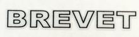 Claud Butler Brevet Top tube name