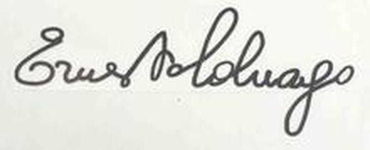 COLNAGO top tube decal. - H Lloyd Cycles