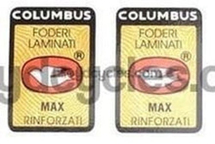 Columbus Max Forks - H Lloyd Cycles
