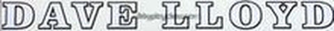Dave Lloyd Block Downtube Decal