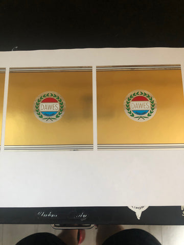 Dawes Galaxy seat panel on immichrome