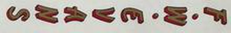 EVANS seat tube decal. - H Lloyd Cycles