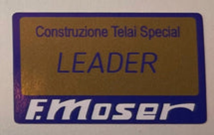 F Moser frame decals - H Lloyd Cycles